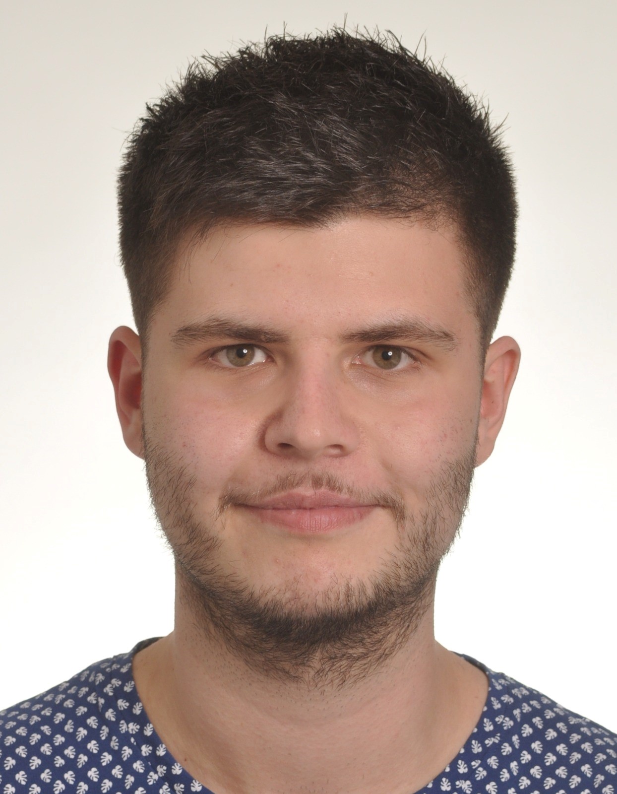 waltenberger sebastian